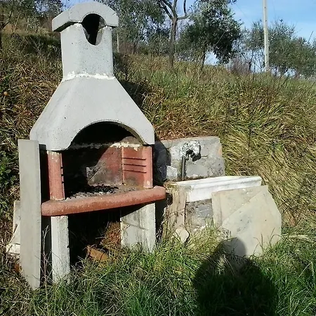 Casalino